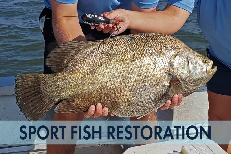 sport-fish-restoration-thumbnail