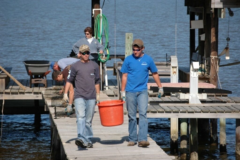 men carrying a basket of oysters