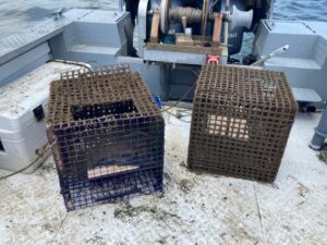 two oyster cages on a boat deck